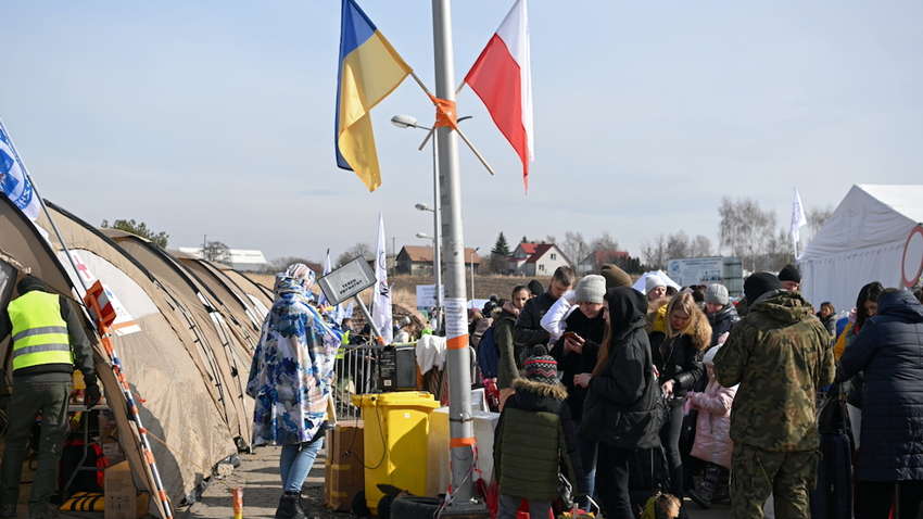 Сколько украинцев в Польше работают или ищут работу: исследование