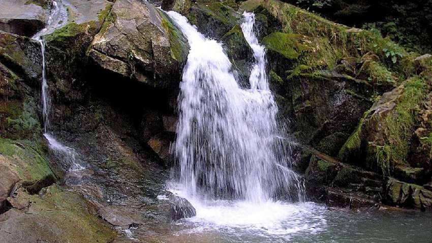 У Львові судитимуть класну керівницю загиблого школяра: у чому підозрюють жінку