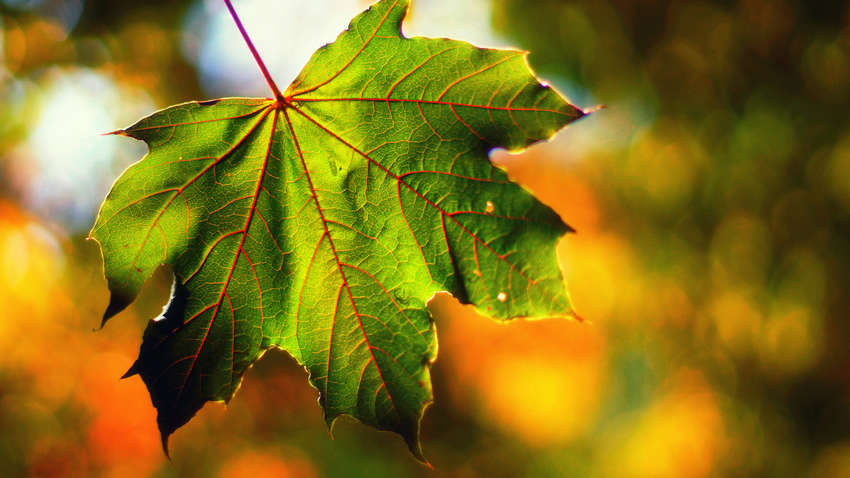 Синоптики оновили свій прогноз на жовтень та розповіли, коли чекати першого снігу і морозів Синоптики оновили свій прогноз на жовтень та розповіли, коли чекати першого снігу і морозів