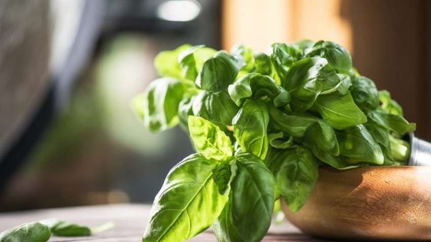 Медики визначили продукт, який продовжує молодість