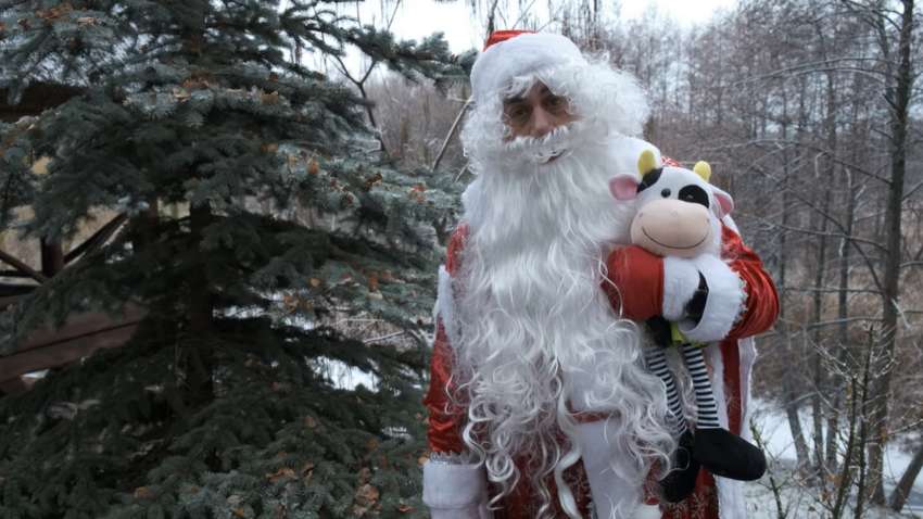 «Успешного размножения»: Комаровский поздравил всех с Новым годом