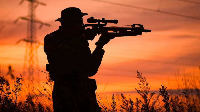 Некоторые интересные особенности охоты с арбалетом Некоторые интересные особенности охоты с арбалетом