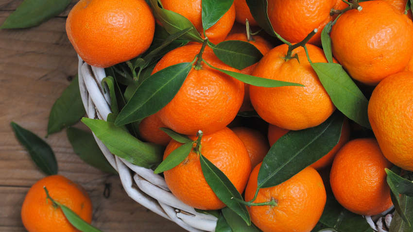 Скільки можна з'їсти мандаринів за день: дієтолог назвала кількість