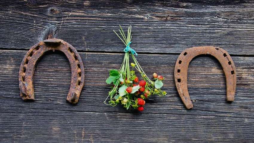 Пять предметов-оберегов, которые должны быть в каждом доме