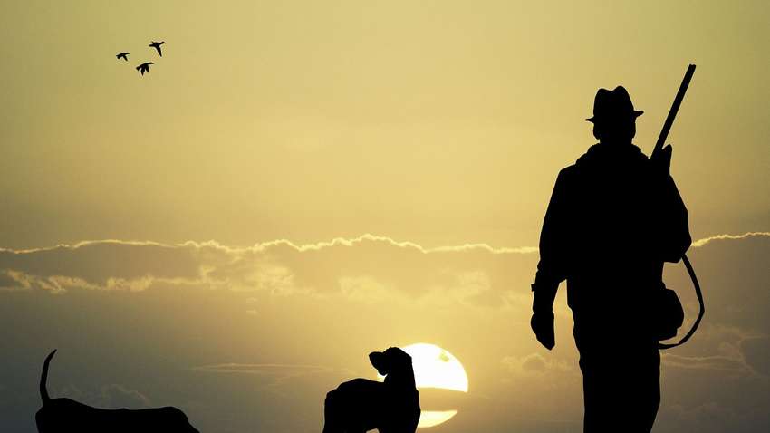 Десять непорушних правил колективного полювання