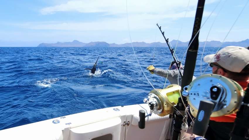 Почему следует отправится на морскую рыбалку