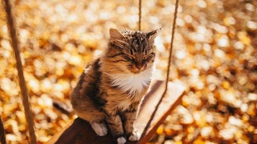 В Україну увірветься потужне потепління: де буде +22 вже завтра В Україну увірветься потужне потепління: де буде +22 вже завтра