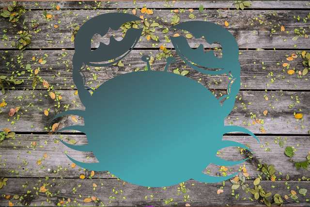 Гороскоп на эту неделю 15 – 21 ноября 2021 года: прогноз для всех знаков Зодиака Гороскоп на эту неделю 15 – 21 ноября 2021 года: прогноз для всех знаков Зодиака