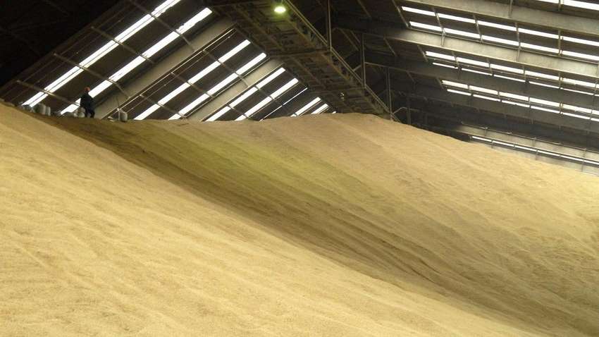 Африканская страна ведет переговоры о покупке у России 1 миллиона тонн пшеницы Африканская страна ведет переговоры о покупке у России 1 миллиона тонн пшеницы