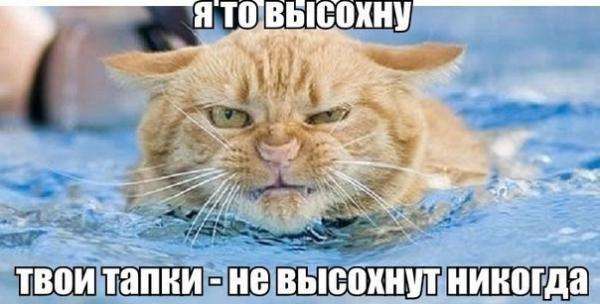 Самі мстиві знаки Зодіаку і особливо Леви