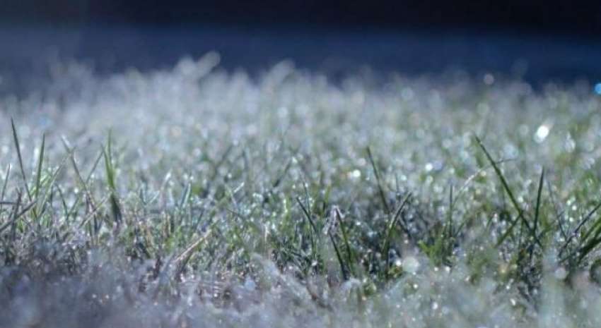 В Украине ожидаются заморозки на две ночи подряд: какие области пострадают В Украине ожидаются заморозки на две ночи подряд: какие области пострадают