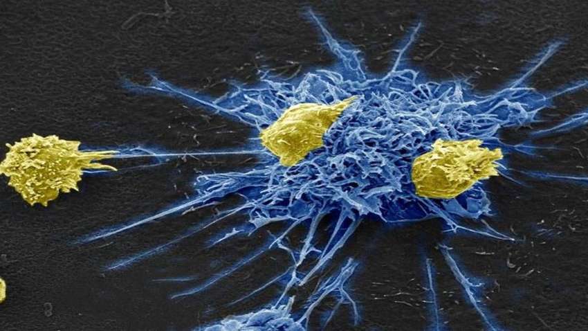 Ученые впервые уничтожили ВИЧ во всем геноме мышей 