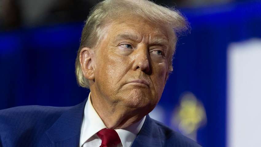 Американцы высказались по поводу идеи Трампа о приобретении Гренландии: опрос