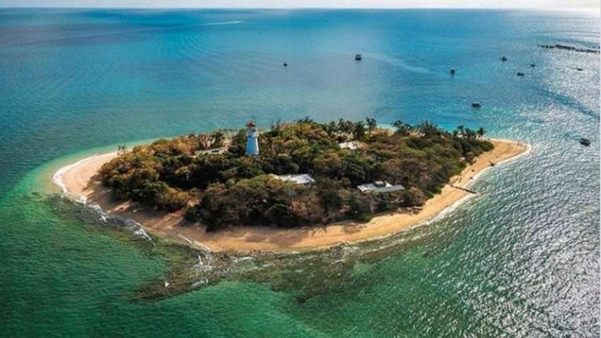 «Робота мрії»: Австралія шукає доглядача райського острова «Робота мрії»: Австралія шукає доглядача райського острова