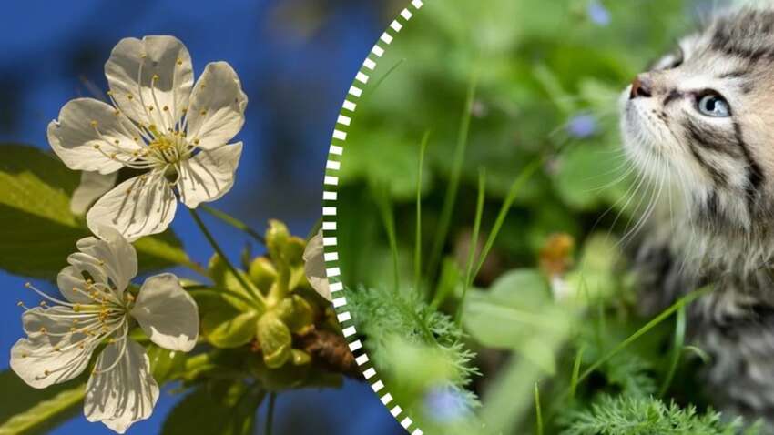 Придет ли весна в Украину: новый прогноз синоптиков изменит все 