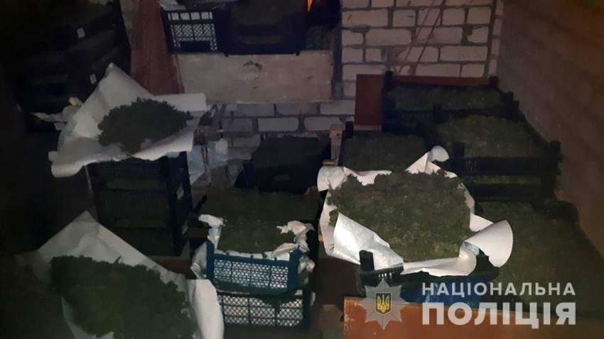 В Запорожской области изъяли партию марихуаны на 20 млн гривень