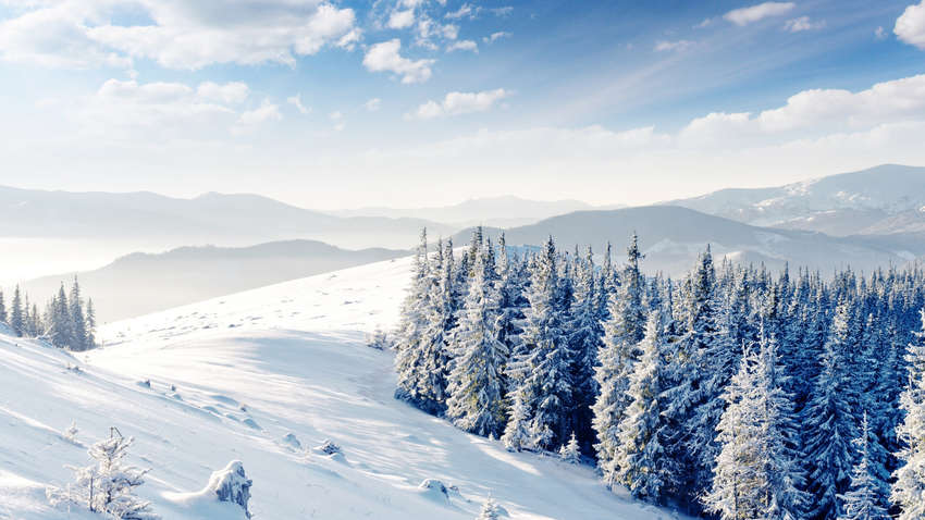 Наплыв туристов и более 7000 рабочих мест: Зеленский рассказал о планах на Закарпатье