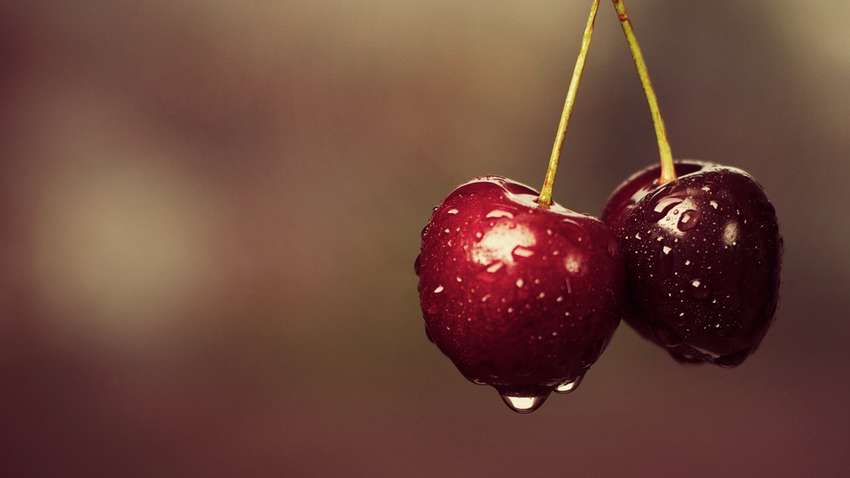 В Украине резко начали падать цены на вишню: сколько сейчас стоит ягода