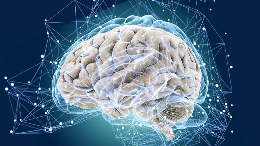 Питание, способное увеличить развитие мозга