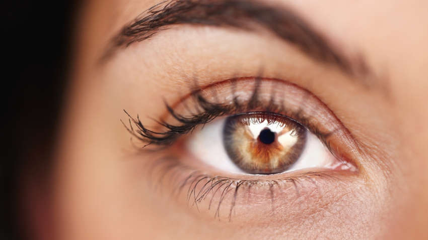 Ученые назвали самый редкий цвет глаз: его имеют 2% населения Ученые назвали самый редкий цвет глаз: его имеют 2% населения