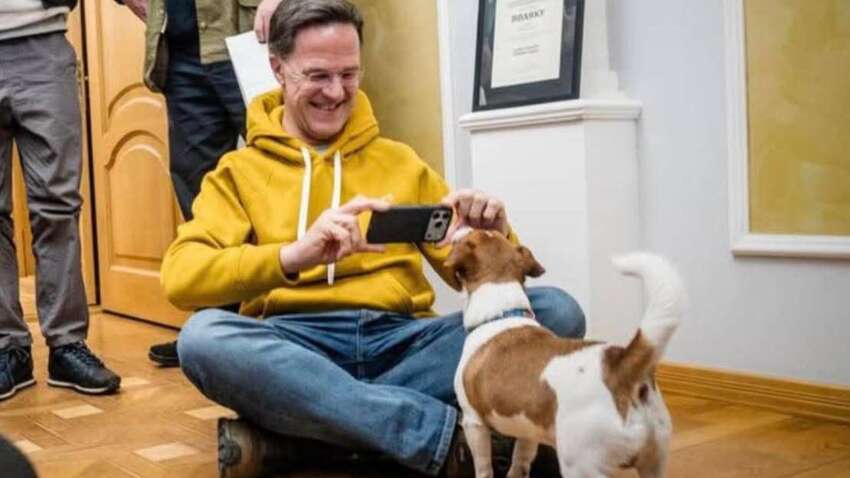 "Хит соцсетей": Марк Рютте встретился с легендарным псом Патроном во время визита на деоккупированные территории