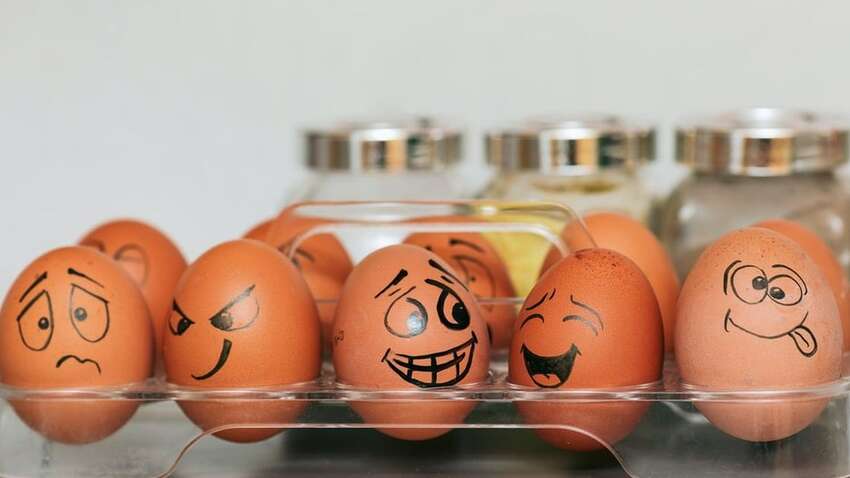 Из Мексики в США везут контрабандой не фентанил, а повседневный продукт