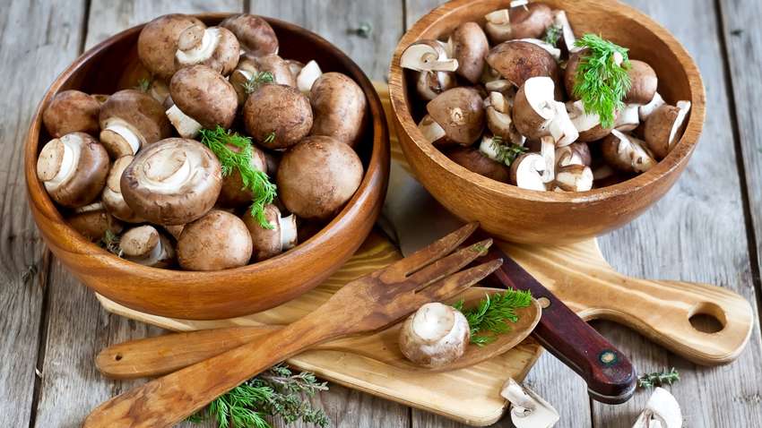 Как на развитие рака влияет употребление грибов