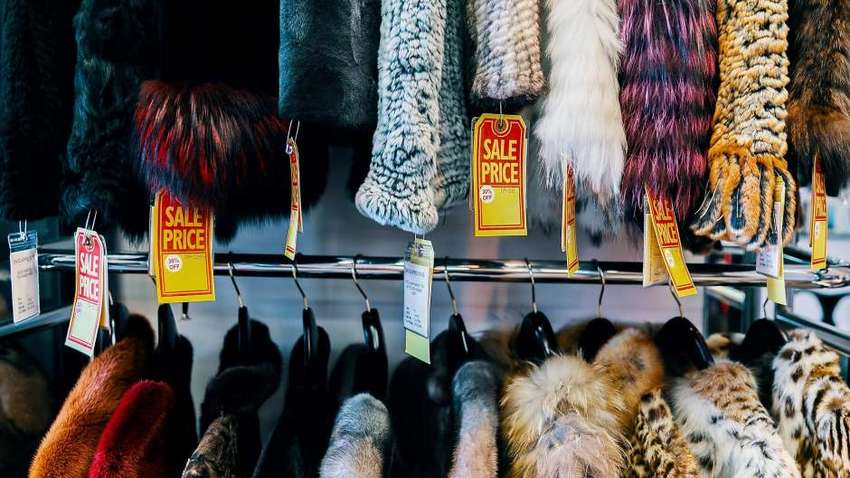 У Каліфорнії заборонили вироби з хутра тварин 