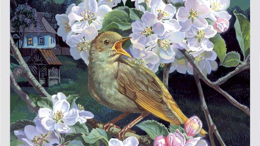 Поштові марки України визнані кращими в Європі 