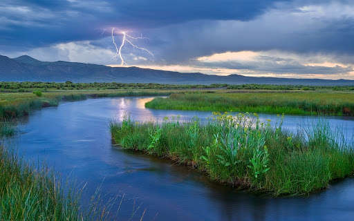 Прогноз погоды: как долго Украина будет оставаться во власти гроз