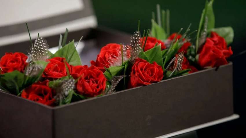 «Холостячка 2»: кто может стать главной героиней шоу