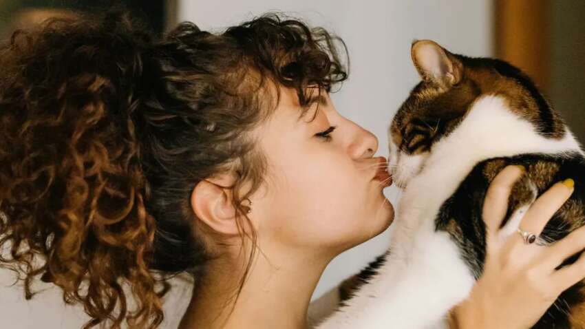 В Италии больше домашних животных, чем детей: что стоит за тревожной тенденцией В Италии больше домашних животных, чем детей: что стоит за тревожной тенденцией