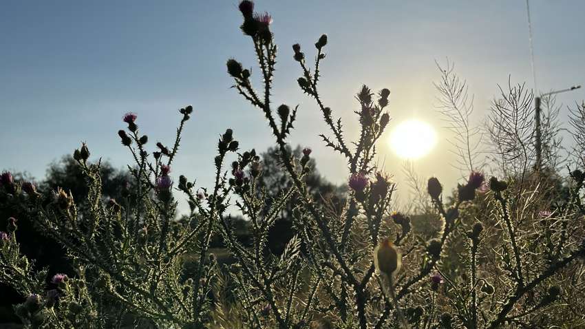 Украину атакует адская жара: до каких температур "нагреет" регионы Украину атакует адская жара: до каких температур "нагреет" регионы