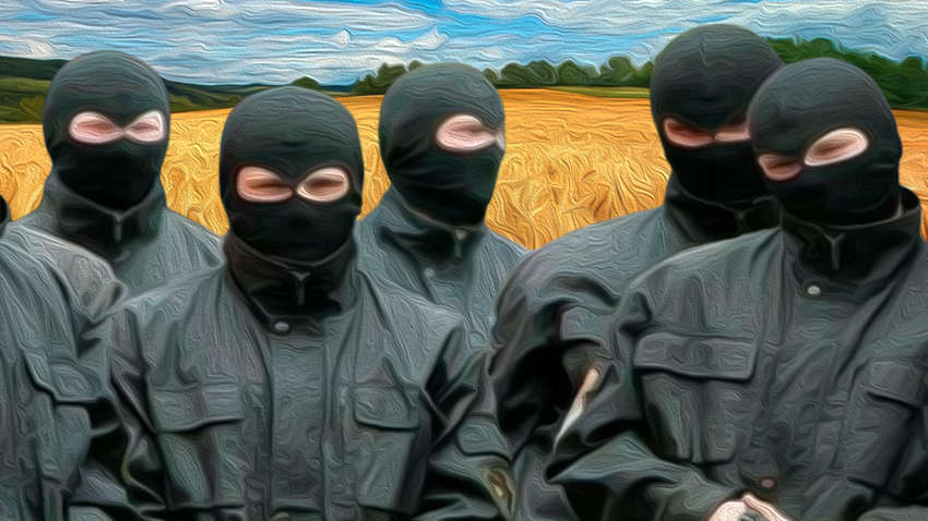 Рейдерство в Україні: як захиститися від незаконного заволодіння землею