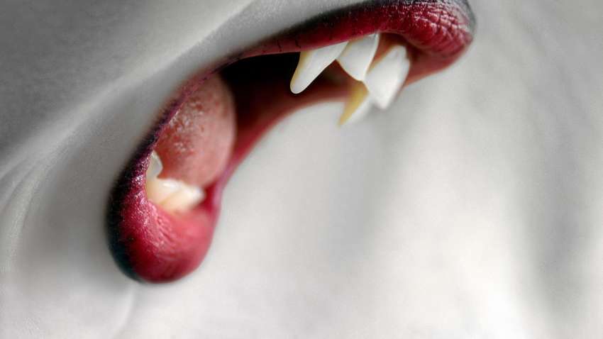 У Кенії зловили вбивцю-вампіра (ФОТО, ВІДЕО) У Кенії зловили вбивцю-вампіра (ФОТО, ВІДЕО)