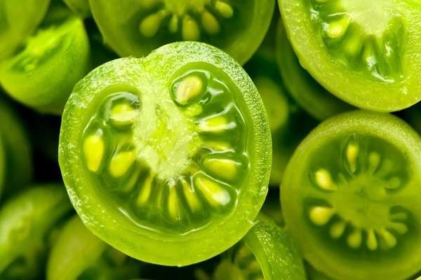 Ученые университета США вывели новый сорт зеленых помидор 