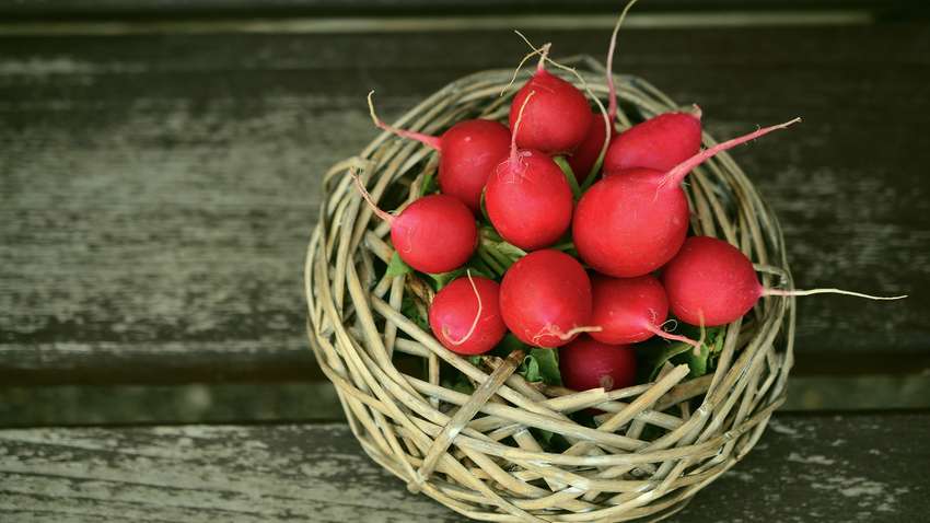 ТОП-5 весенних овощей, которые помогут похудеть