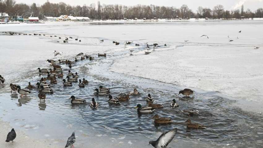Яке церковне свято 20 січня: з чим сьогодні треба бути особливо обережним