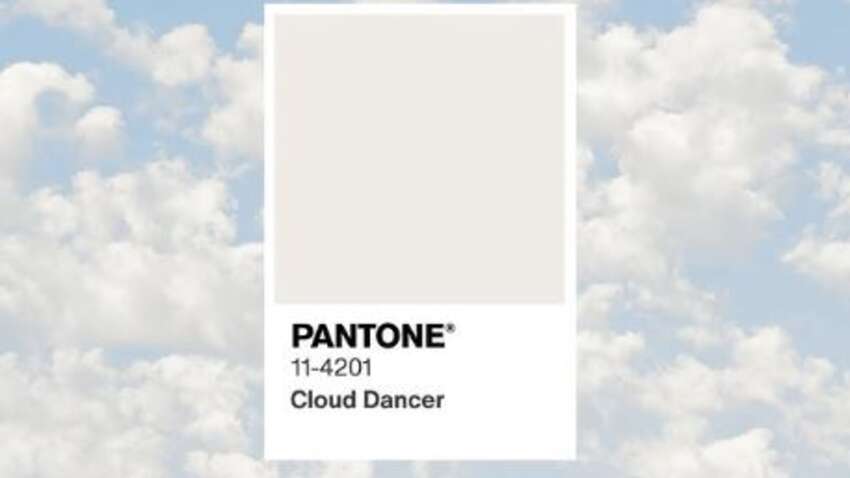 Определен цвет Pantone на 2026 год: что он будет означать Определен цвет Pantone на 2026 год: что он будет означать