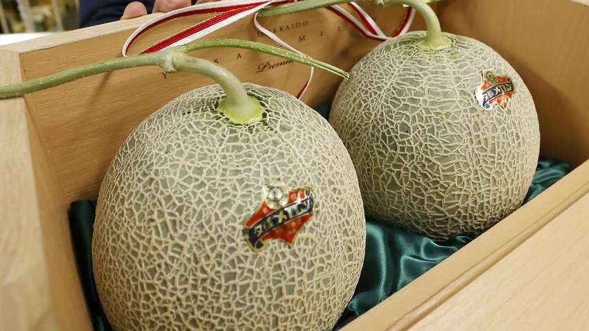 В Японии две дыни продали на аукционе почти за 25 000 долларов - в чем их особенность