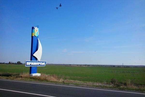 Сожженные заживо животные в Запорожской области: в Приморске прошла акция "Хочу дышать"