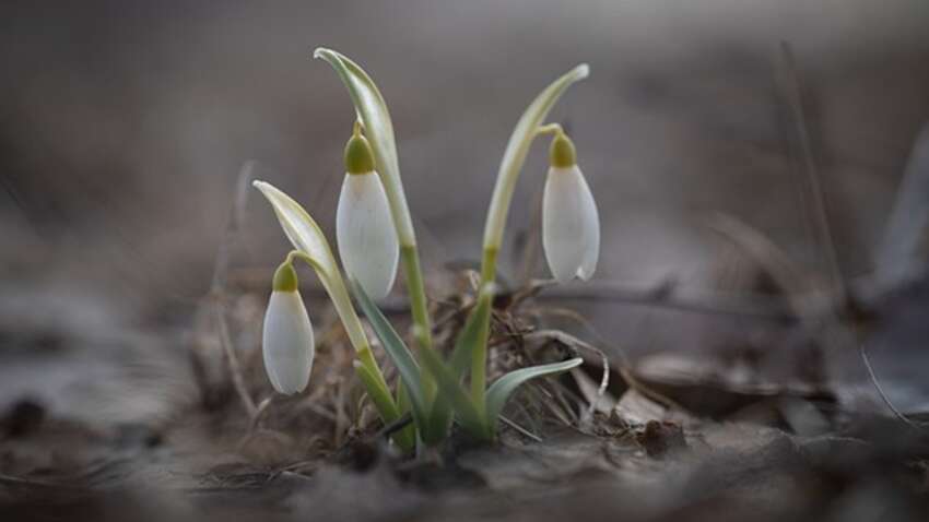 Какой церковный праздник 12 марта: что считается плохой приметой дня