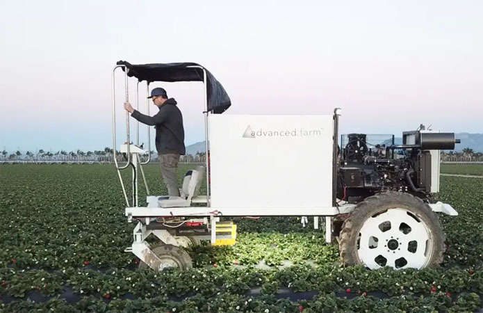 Японський технічний гігант вклався в творця робота для збору полуниці