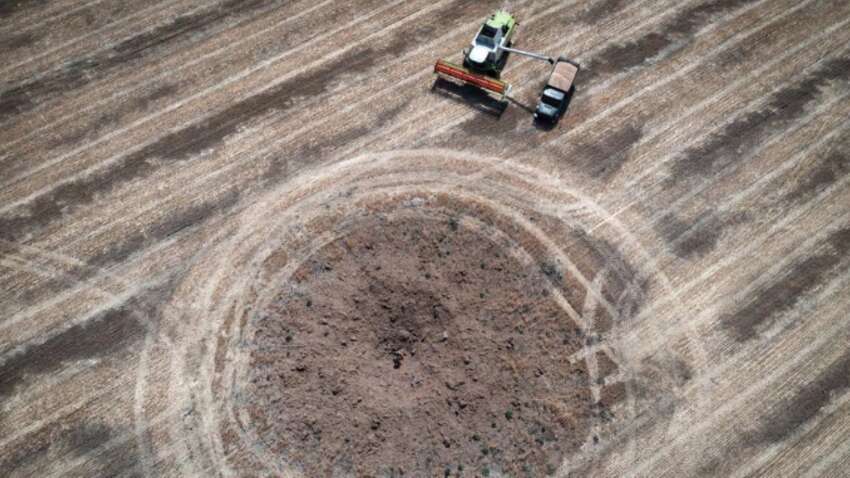 Украина открывает агросектор для крупных итальянских инвестиций — что стоит за новым партнерством