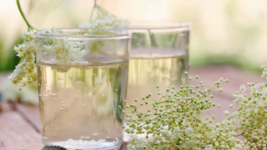  Корисно для здоров'я: рецепт смачного квасу із бузини