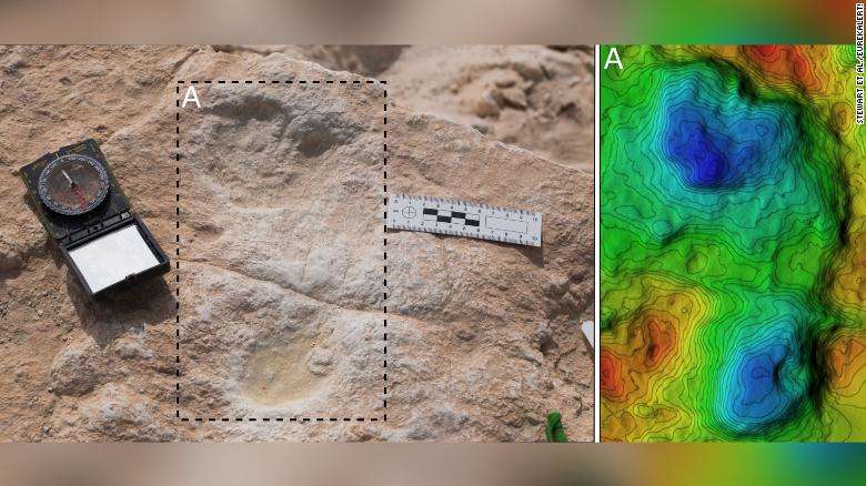 У Саудівській Аравії знайшли сліди віком в 120 тисяч років: дослідники розповіли, кому вони належать