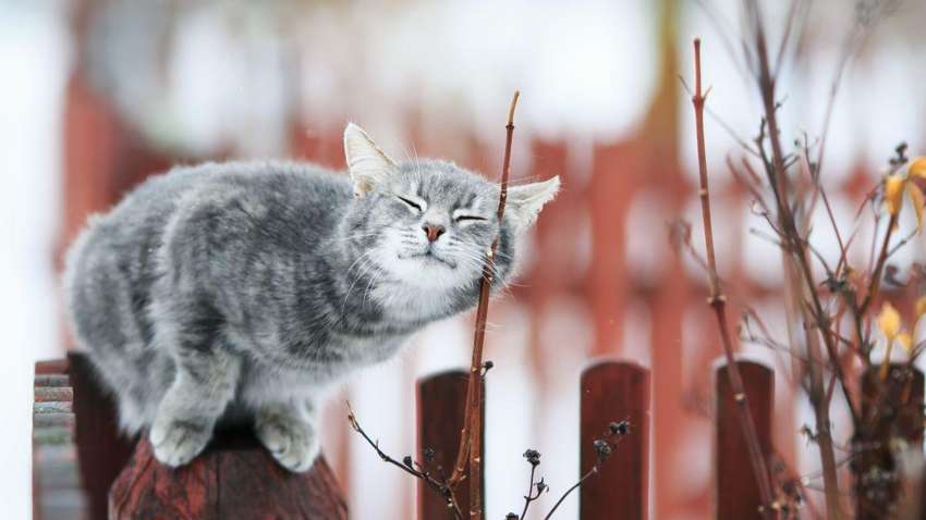 В Україну йде різке потепління: синоптики розповіли, коли чекати