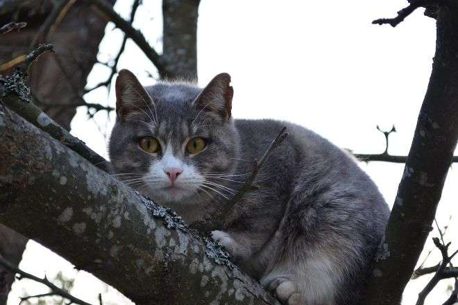 Прогноз погоды на 15 декабря