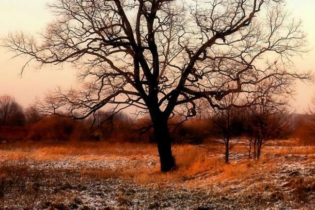 Синоптики дали прогноз на 16 грудня