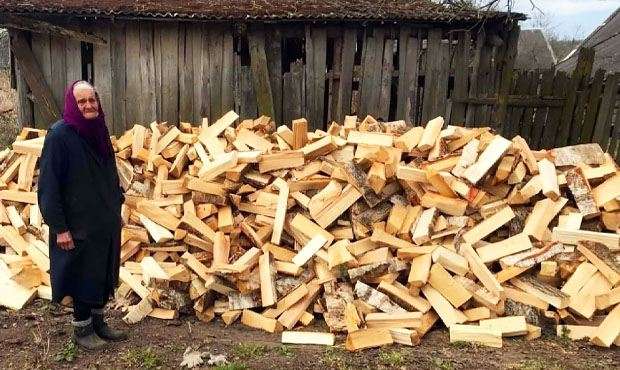 Стало известно, как можно подтвердить «законность» дров и не получить штраф 